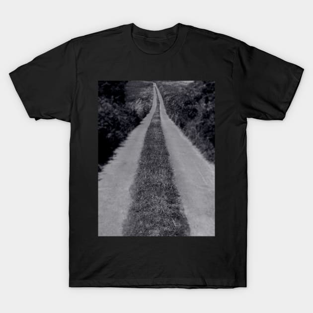 The Long Way Home T-Shirt by rosedew